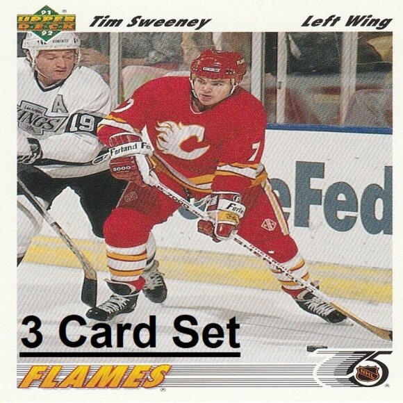 Tim Sweeney Hockey Card Collection - Picture 1 of 4